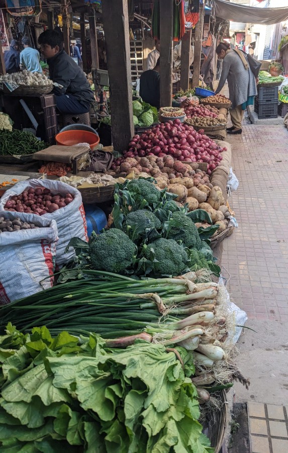 broccoli spring onion onions potatoes fresh produce siliguri (1)