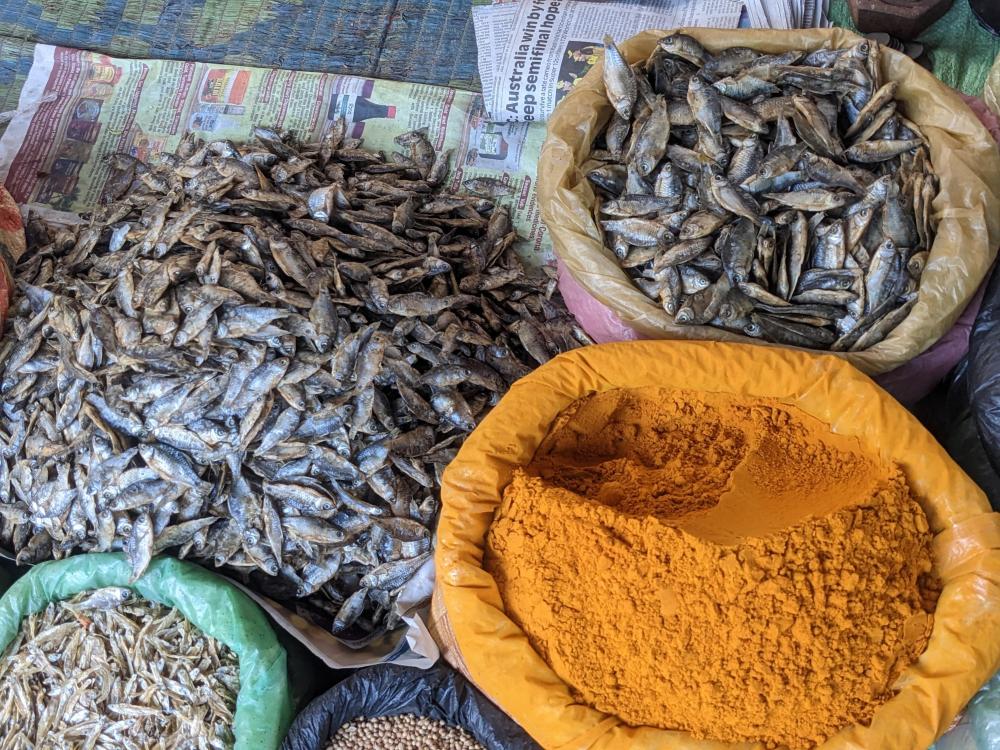 dry fish and turmeric in siliguri market (1)