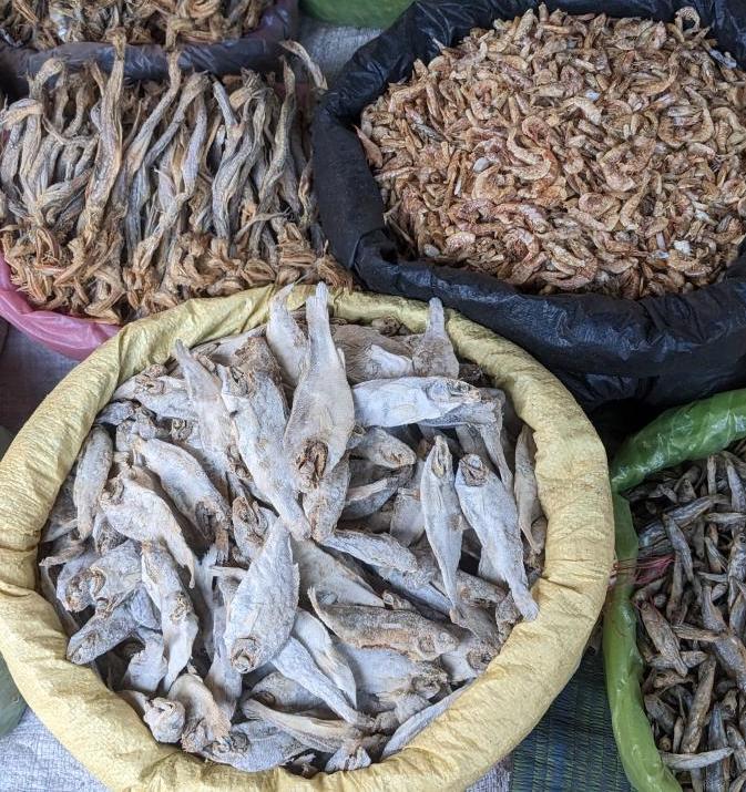 dry fish being sold in siliguri green grocer weekly market
