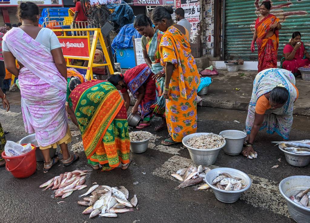 fisher women sorting out their fish pondicherry early morning on the street