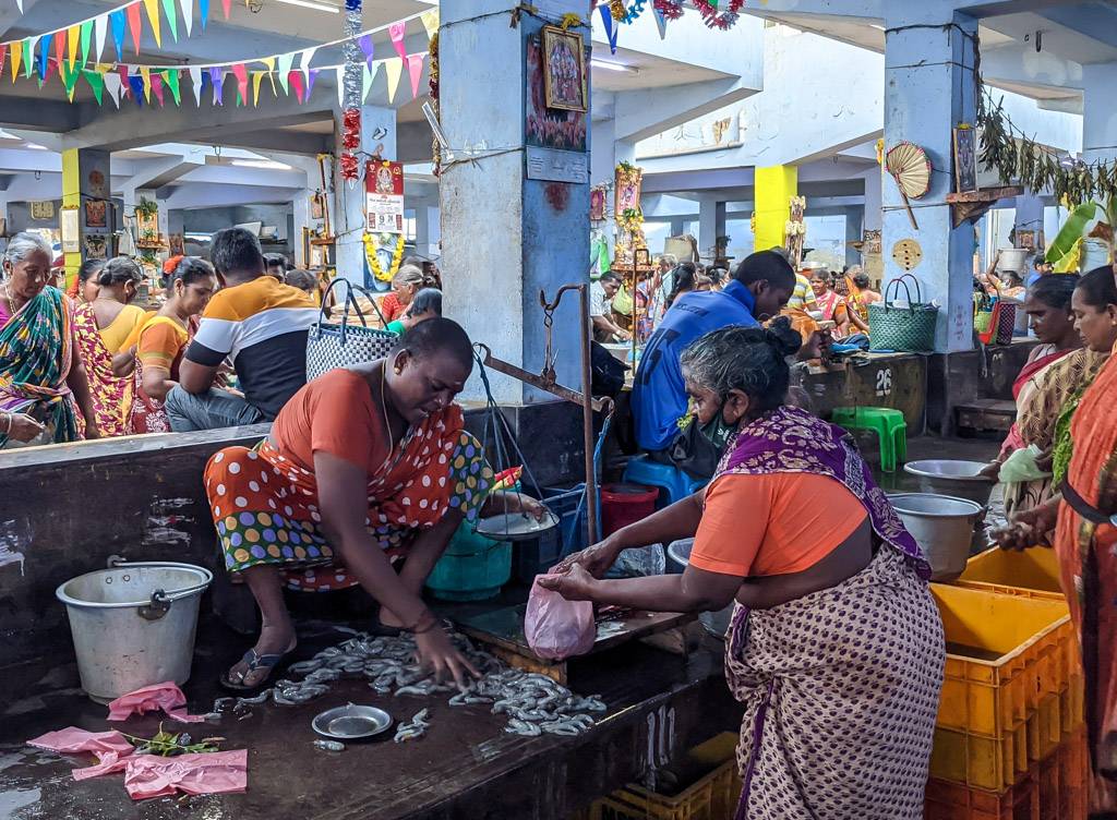 fish market goubert puducherry tamil nadu