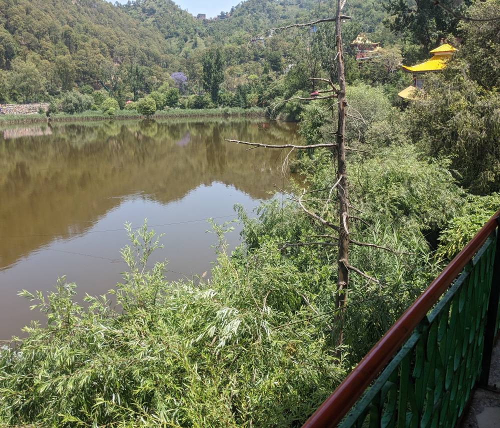 from the balcony outside my room in rewalsar monastery the view of rewalsar lake homeless to home