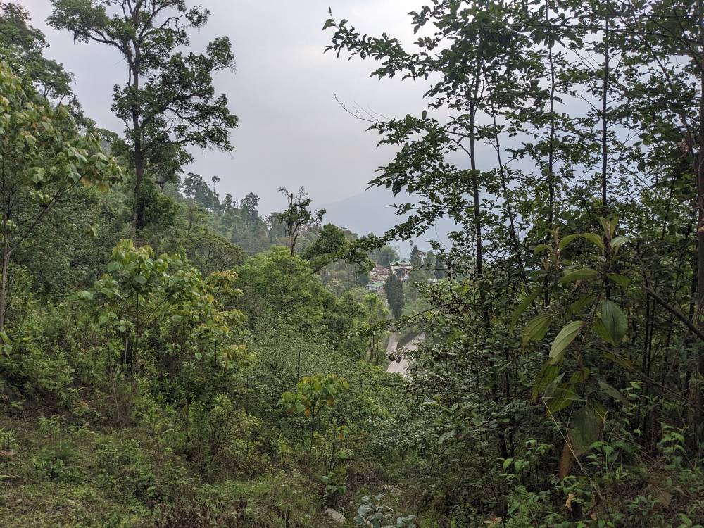 from up above in the mountain we could see the road to the house Sikkim himalayas india