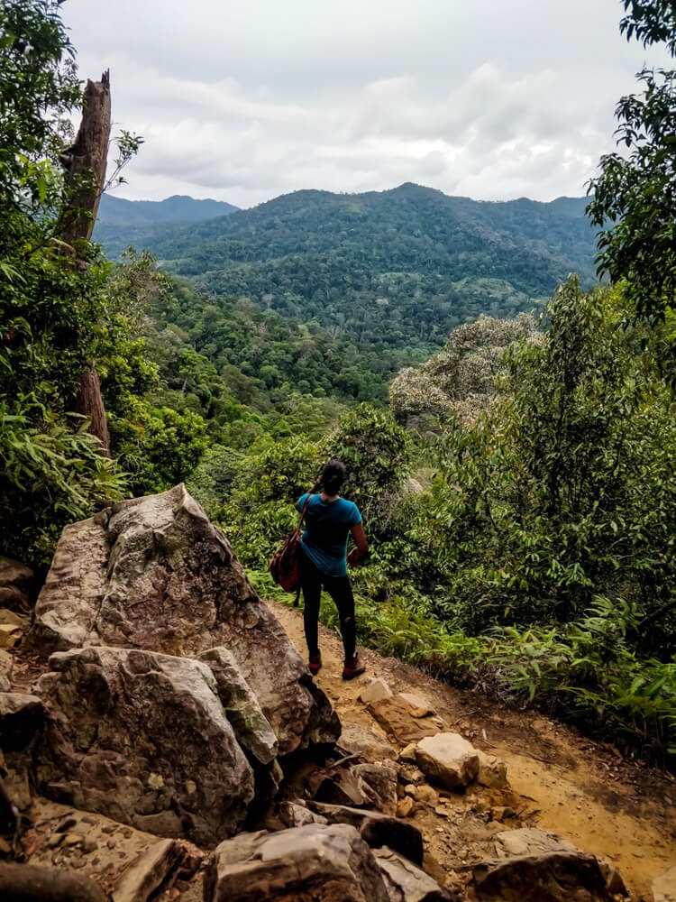 hiking+taman+negara+malaysia