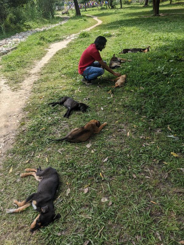 later at the lake petting dogs my partner rewalsar lake