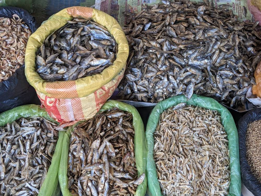 more dry fish big and small siliguri west bengal in a street market