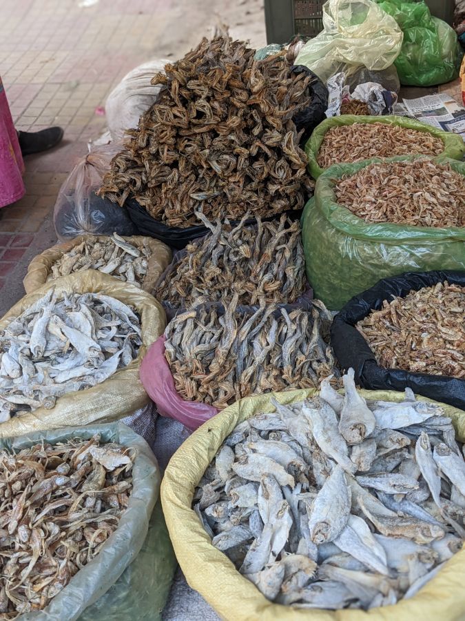 more dry fish omg