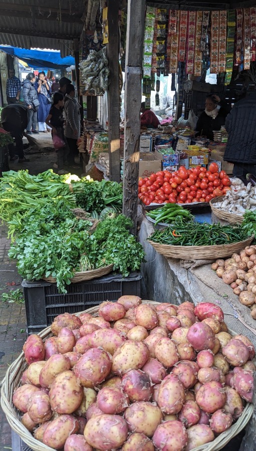 new pink potatoes siliguri grocery bazaar west bengal