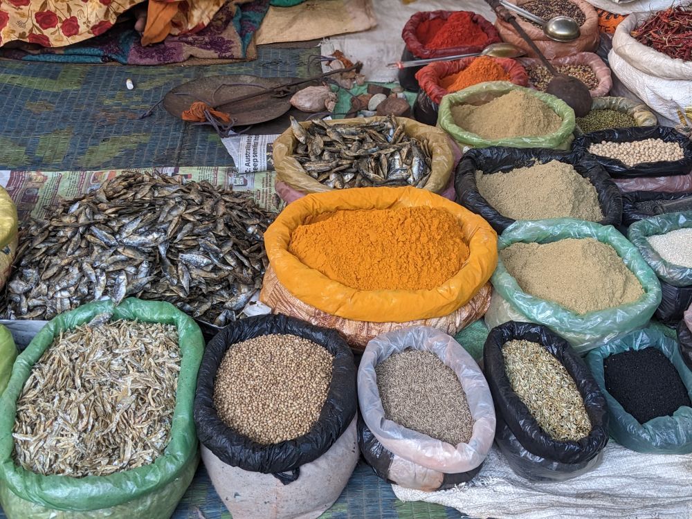 only in bengal can you see the dry fish and spices together-a cultural nugget i couldnt have learned if i hadn't visited the local grocery bazaar