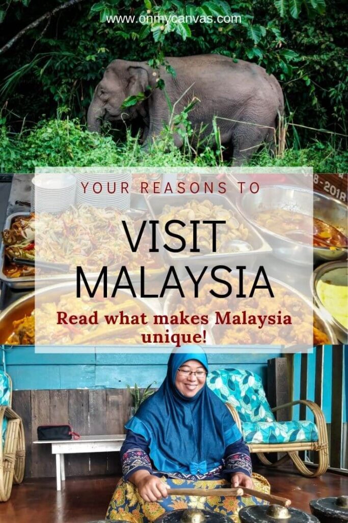 pinterest+image+reasons+to+visit+malaysia
