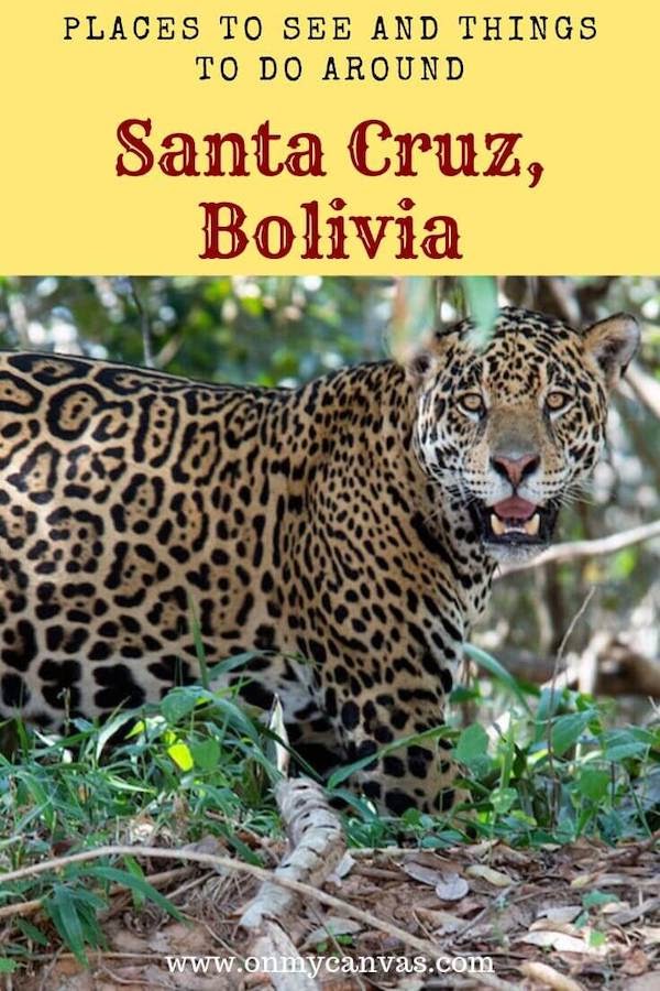 santacruzdelasierratravelguidebolivia