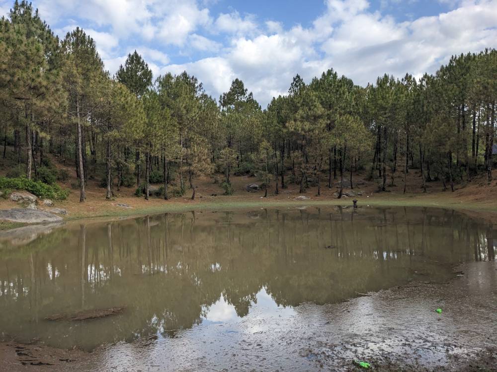 views we had left behind sar ki dhar seven lakes himachal one of the lake with pine trees