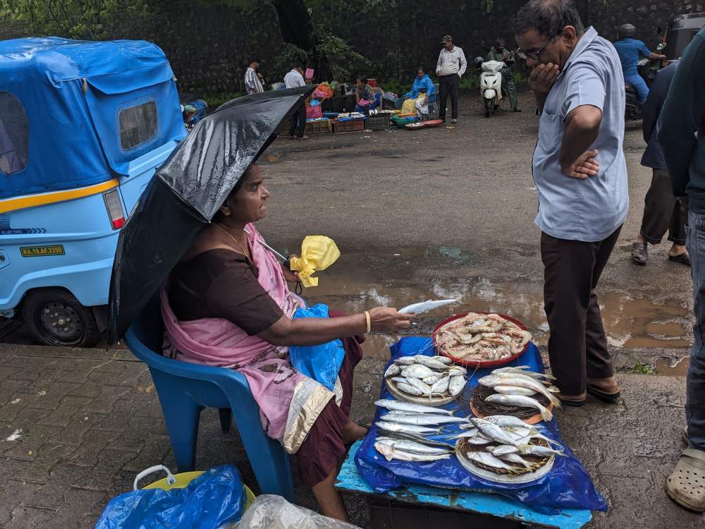 a fisherwoman sitting selling varieties of fish and prawns on the roadside in mangalore under an umbrella