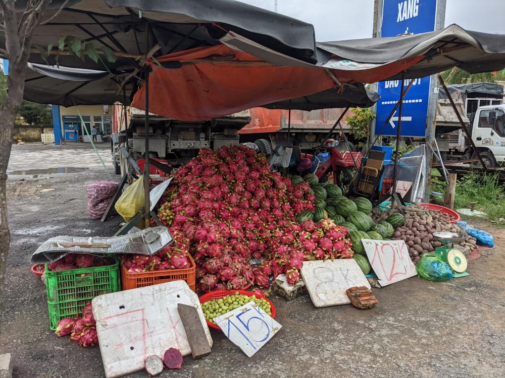 piles of dragon fruits, melons, lemon, tapioca