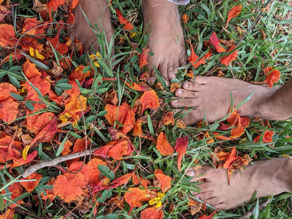 two pair of feet on red flowers