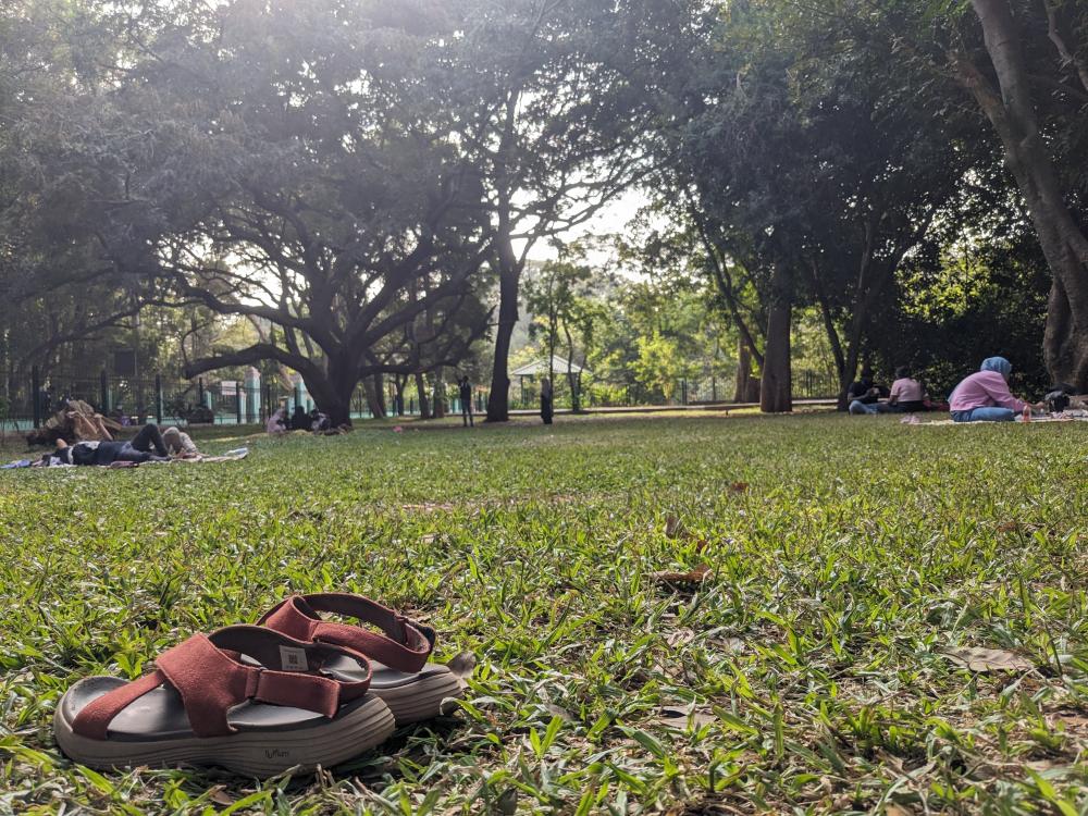 shoes down on grass with trees all around cubbon park bangalore (1)