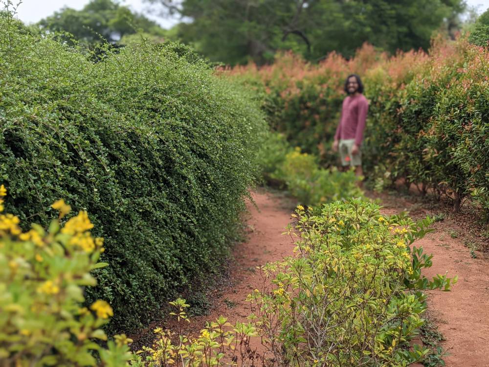 a man standing in greenery but slightly off focus