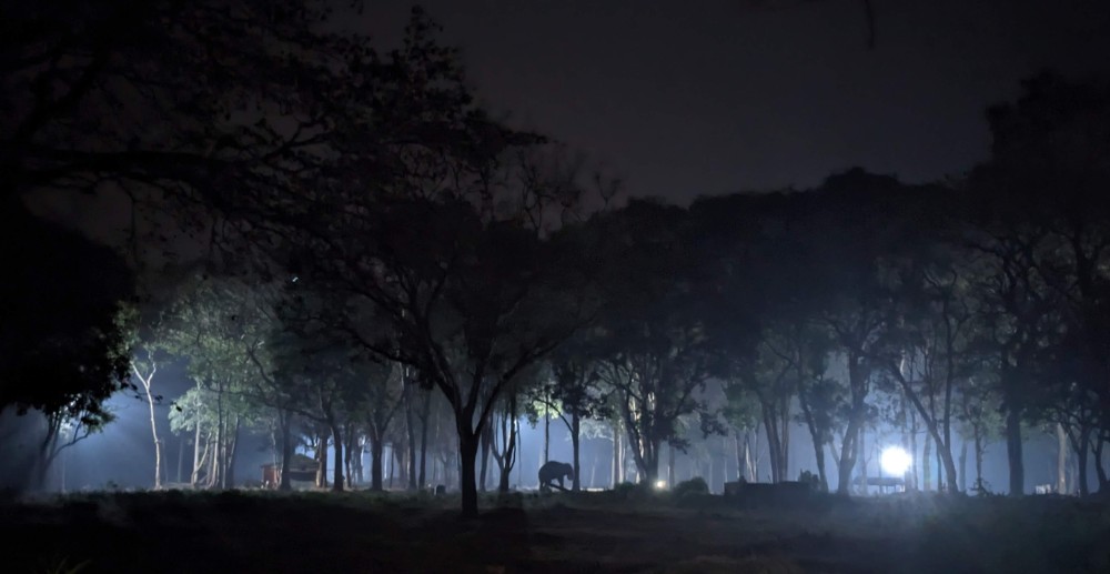 elephants standing in fog in muthanga elephant camp wayanad district kerala