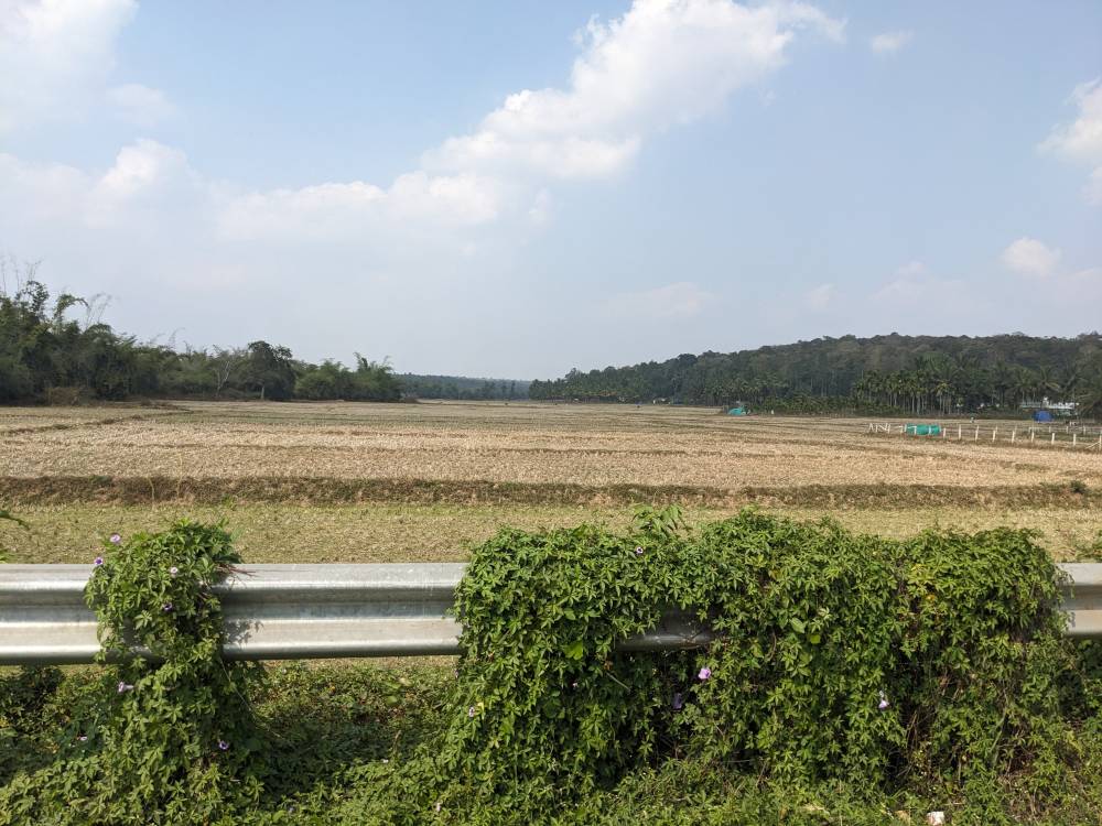 villages around muthanga wildlife reserve in kerala india. green forests fringing agricultural fields.