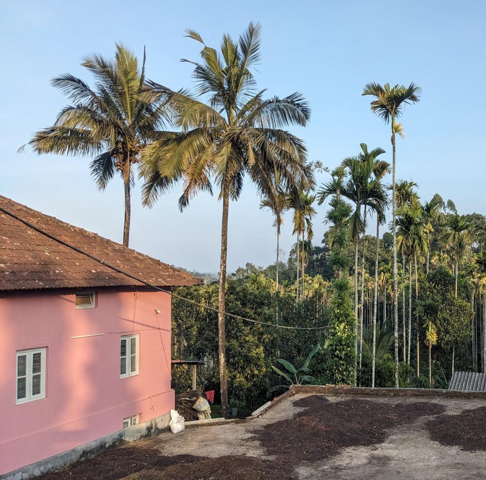 Finding a Home in a Village in Wayanad (Kerala): Day 1, Episode 1
