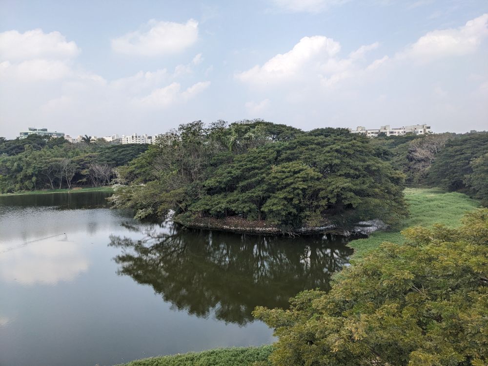 around Karanji lake the city of Mysore sprawls in photo a big lake circumscribed by mangroves