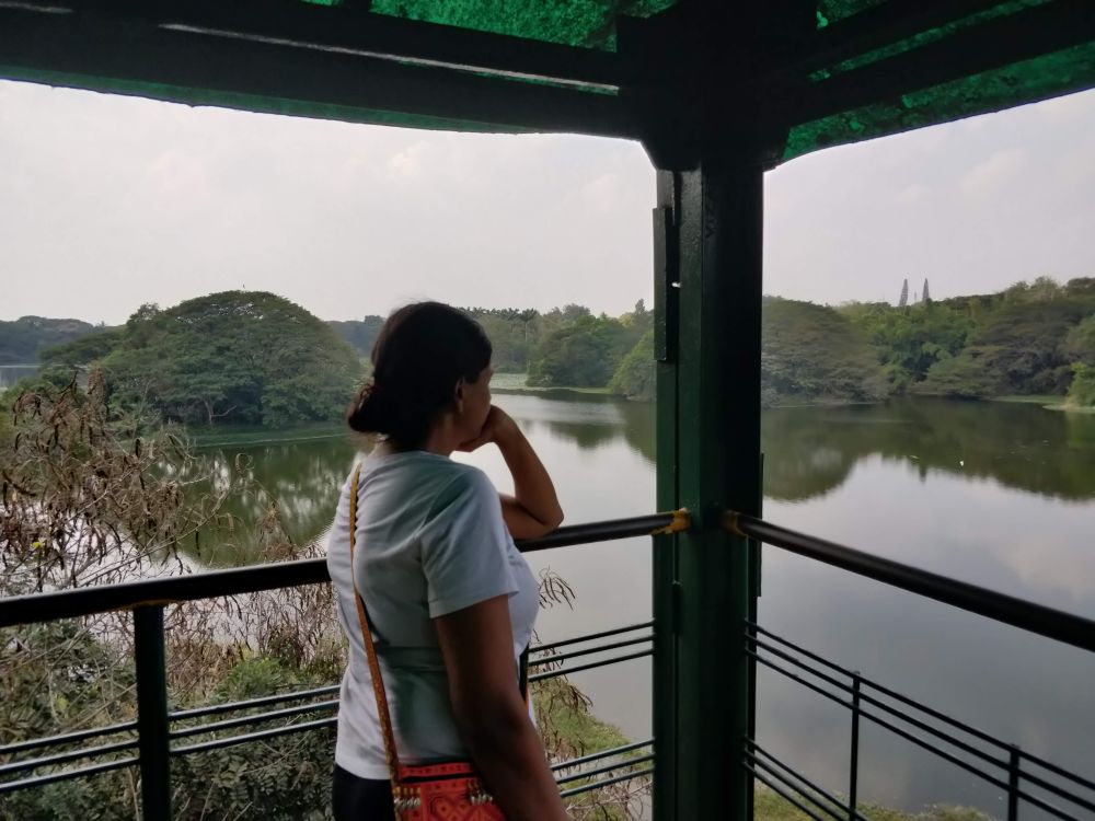 observing the karanji lake on slow travels in mysore, the author standing on a watchtower looking at the lake sprawling around her