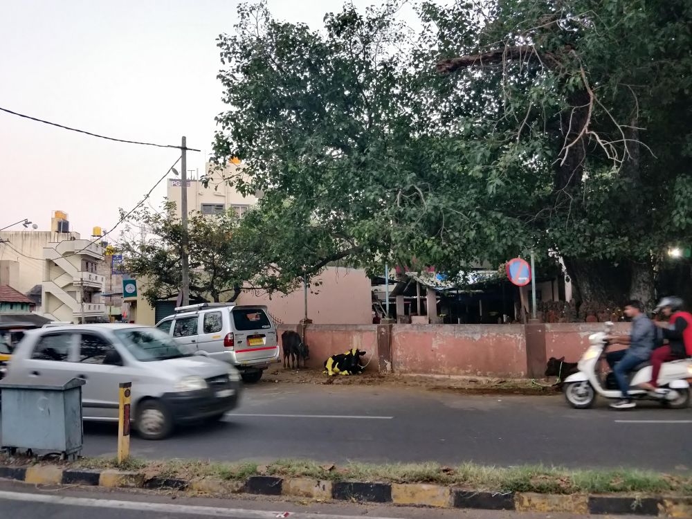 roads of mysore