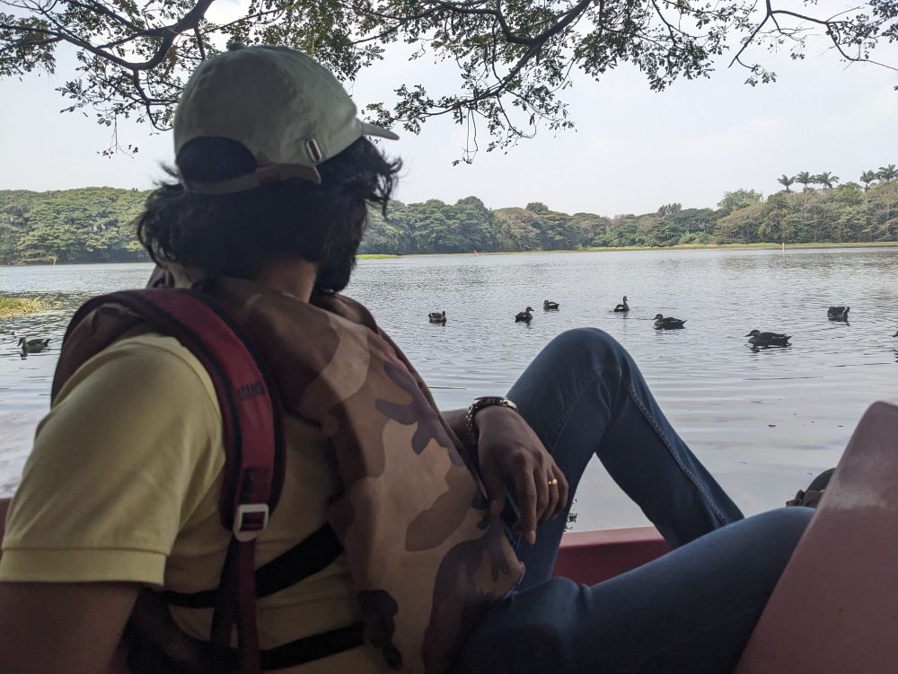 the ducks and my man on mysore travel in photo a lake with ducks and a man on a a boat