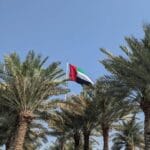 UAE flag loating above the palm trees blue sky UAE visa on arrival for indians article feature image