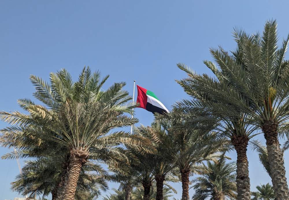 UAE Visa on Arrival For Indians (With Valid US, UK, Schengen Visa) 1 UAE flag loating above the palm trees blue sky UAE visa on arrival for indians article feature image