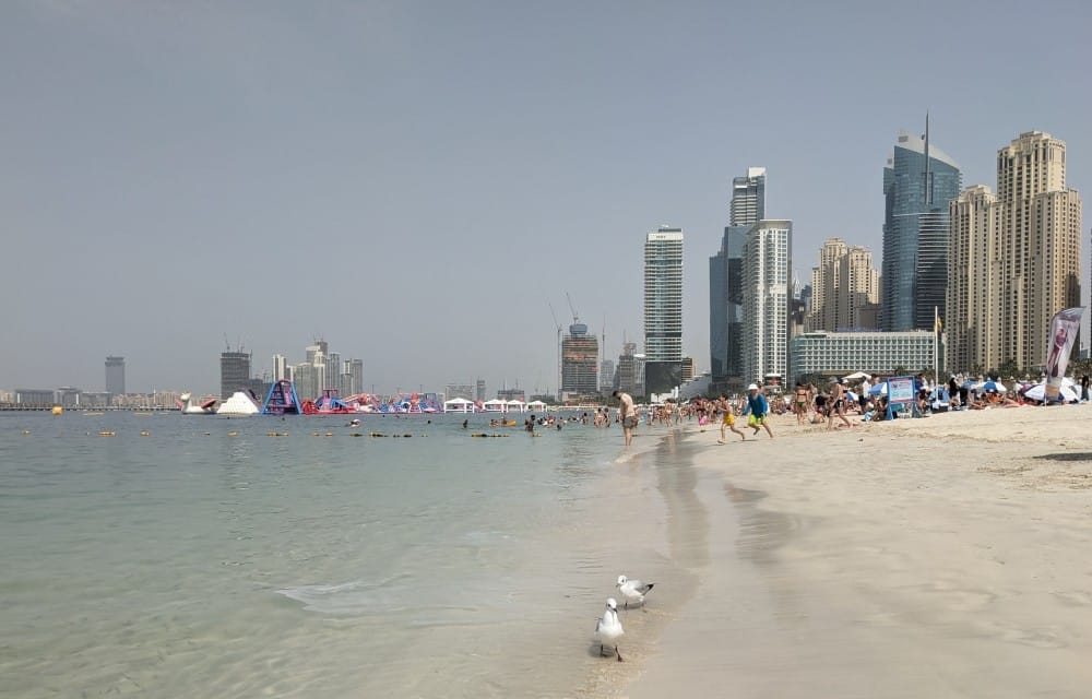 admiring seagulls at marina beach dubai buildings blue ocean dubai