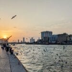 dubai-creek-uae-dubai-seagulls-people-water-creek