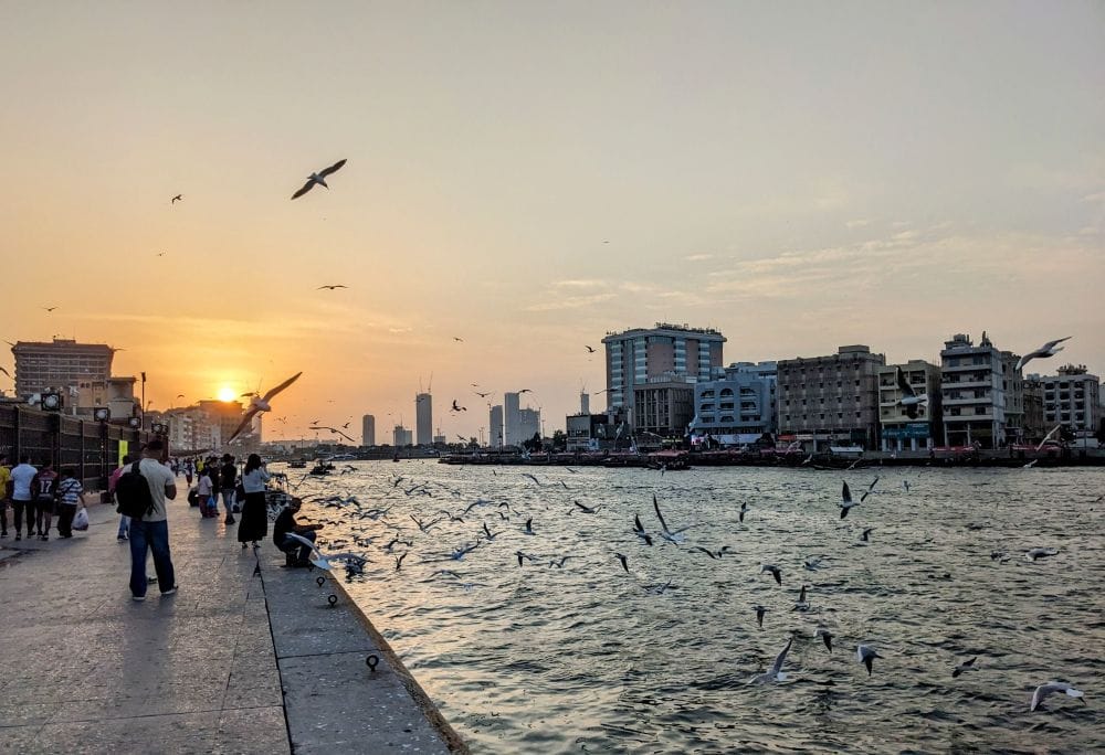 dubai-creek-uae-dubai-seagulls-people-water-creek