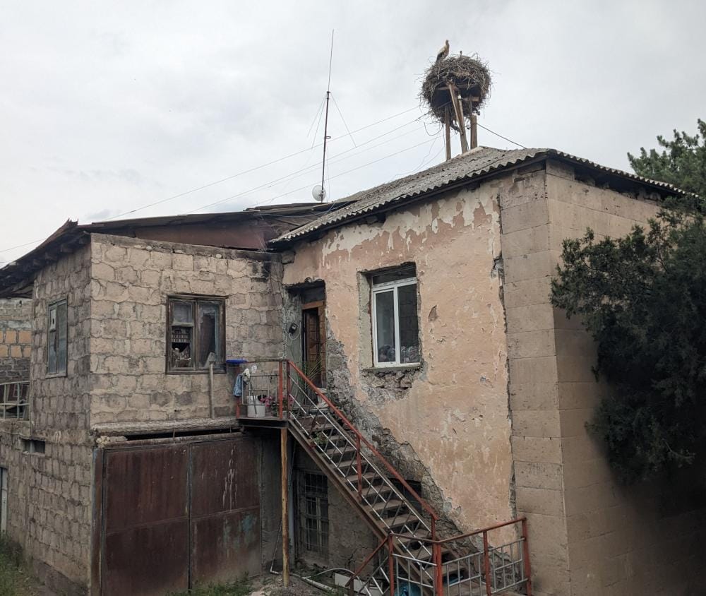 the nest of a crane on top of a house in armenia (1)